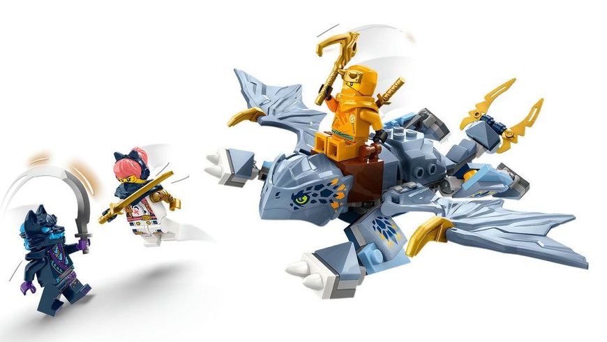 Конструктор LEGO® NINJAGO Молодой дракон Рию 71810 71810