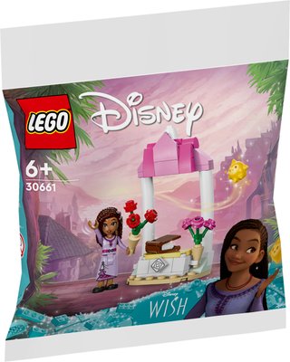 Конструктор LEGO Disney Поздравительный стенд Аши 30661 30661