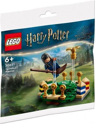 Lego Harry Potter Тренування за Квідичем 30651 30651