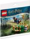 Lego Harry Potter Тренировка по Квиддичу 30651 30651 фото 1