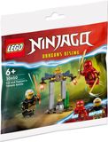 LEGO Ninjago Битва за Храм Кая и Раптона 30650 30650 фото