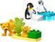 Конструктор LEGO DUPLO Семейства диких животных: Пингвины и Львы 10442 10442 фото 2