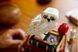 Конструктор LEGO Harry Potter Філософський камінь 76466 76466 фото 2