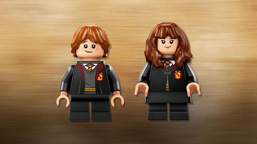 Конструктор LEGO Harry Potter™ Заборонений ліс: чарівні істоти 76432 76432