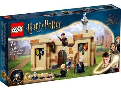 Конструктор LEGO Harry Potter Гоґвортс: перший урок польотів 76395 76395