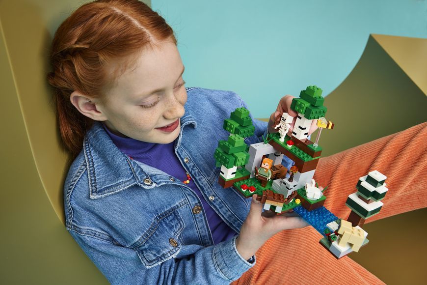 Конструктор LEGO&reg; Minecraft&reg; Приключение первой ночи 21593 21593