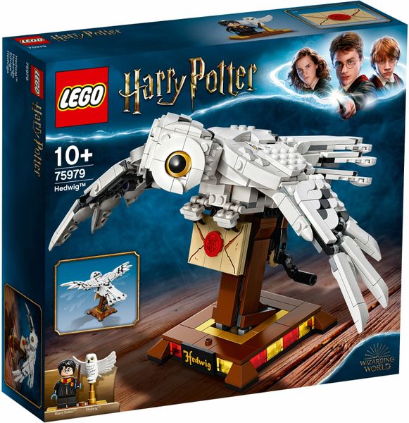 Конструктор LEGO Harry Potter Букля 75979 75979