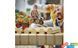 Конструктор LEGO City Гонки грузовика-монстра 60397 60397 фото 4