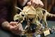 Конструктор LEGO&reg; Jurassic World Скамʼянілості динозаврів: трицератопс 77985 77985 фото 4