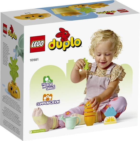 LEGO® DUPLO® My First «Морковь на грядке 10981 10981