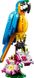 LEGO® Creator 3-в-1 «Екзотичний папуга» 31136 31136 фото 2