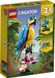 LEGO® Creator 3-в-1 «Екзотичний папуга» 31136 31136 фото 1