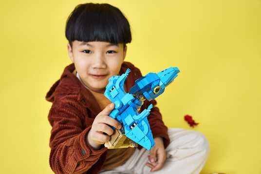 Купити Конструктор LEGO® Jurassic World Малюк динозавр: птеранодон