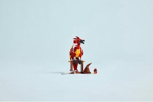Конструктор LEGO&reg; Harry PotterTM: Фоукс: феникс Дамблдора 76448 76448