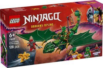 Конструктор LEGO Ninjago Зелений лісовий дракон Ллойда 71829 71829