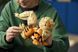 Конструктор LEGO&reg; Pok&eacute;monTM Арканайн 72160 72160 фото 2