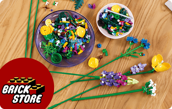 LEGO® Botanicals купить в Бриксто