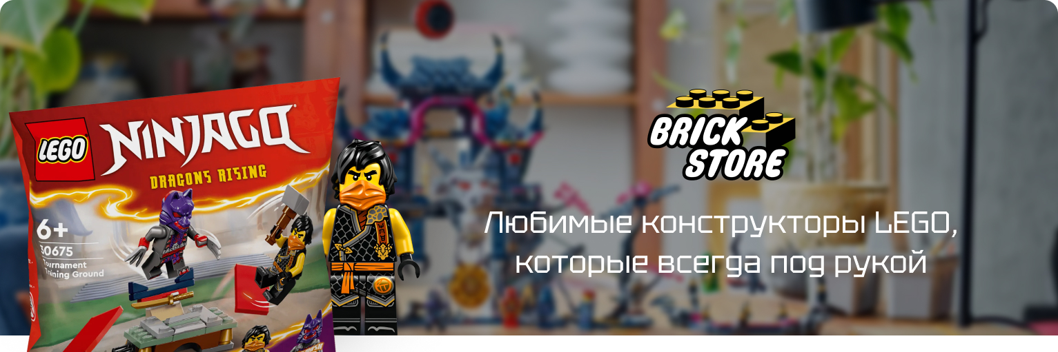 Заказать оригинальный конструктор Лего Polybag в магазине Brickstore